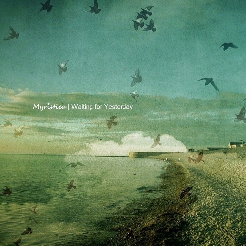 Myristica ~ This Beautiful World