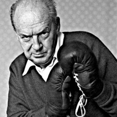 Things Nabokov hates