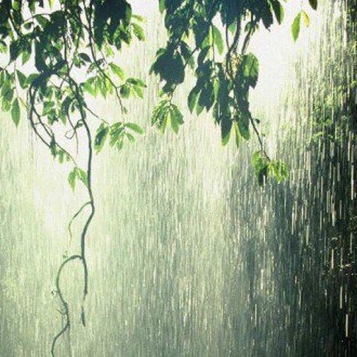 Stream Project Rain - "Project Rain (Part One): Redux" by The Project ...