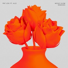 Pat Lok - Move Slow (WMNSTUDIES Remix)