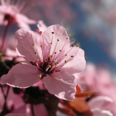 Mary Mac: Spring 2014 Garage / Deep House Mix (FREE DL)