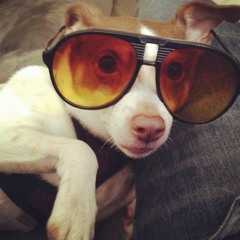 Rod Stewart Is The Devil