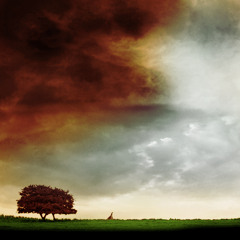 Early in the Morning