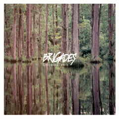 Brigades  "Small Time Crooks"