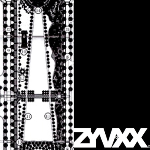 ZYVOXX2-Reflex Angle