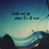 Wake Me Up (Diamond Remix )