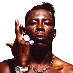 CLASSIC DANCE! HEATWAVE 1989 FEAT. SHABBA RANKS, CLEMENT IRIE, JOHNNY P & RISTO BENJY