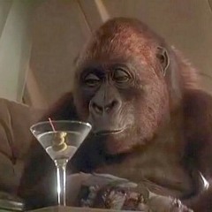 Wheres My Gorilla