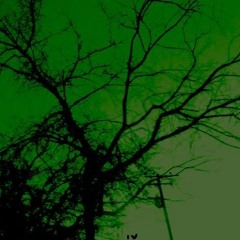 Boards Of Canada Cover
