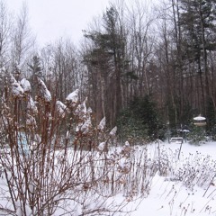 HODJ - Snowy Sunday (Kroeger's Remix) (Preview)