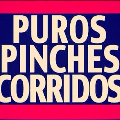 Corridos Chingones 2014