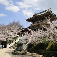 Yui - Tokyo - Short Version