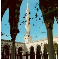 مع الله في القلب