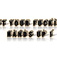 WL - Put you fuckin' hands up (Manu Birsan Private Edit 2k14) prev