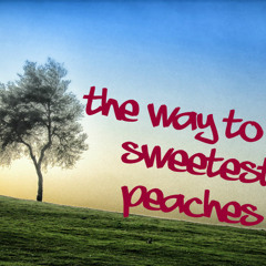 Birds*& Peaches