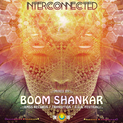 Boom Shankar - Interconnected [Resurrected Summer 2014 Mix]