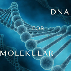 DNA For Molekular - Snapshot Bank for Reaktor - Demo collection