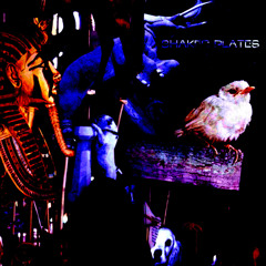 SHPLPOD007 - Spring 2014