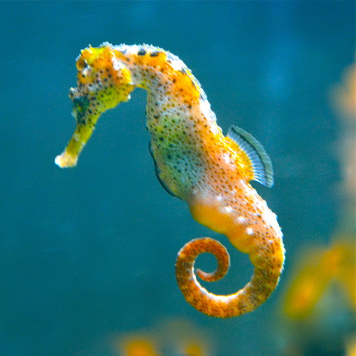 Water World