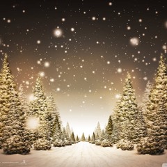 15 - Uma floresta de árvores natalinas (A forest of Christmas trees)