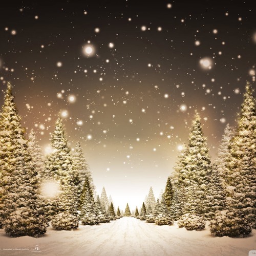 15 - Uma floresta de árvores natalinas (A forest of Christmas trees)