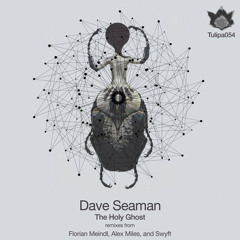 Dave Seaman - The Holy Ghost (Max Mader Remix)
