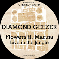 Diamond Geezer ft. Marina - Flowers (Original Mix)