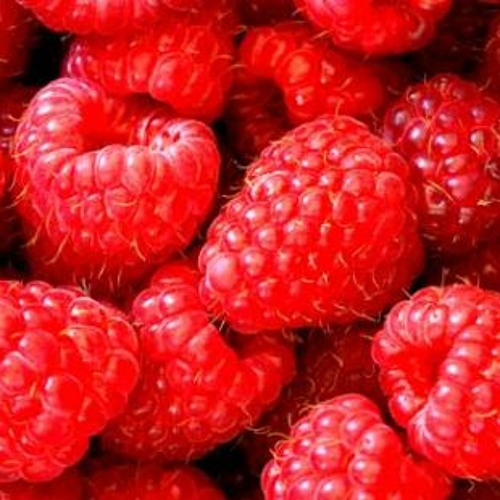 LORD OF THE FLYEZ x FRAUNHOFER DIFFRACTION – Himbeeren