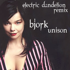 Unison - Bjork(Electric Dandelion Remix)
