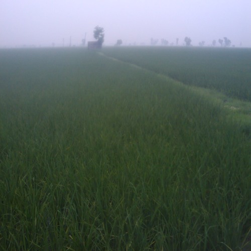 nale main te gheo di mithi churi mp3