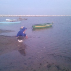 -Ma Twa9efnich- Anwer Volcano