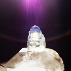 the merchant's groove.