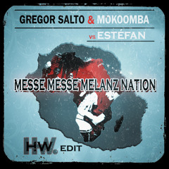 Mokoomba ft Gregor Salto vs Estéfan - Messe Messe Mélanz Nation (HW edit)