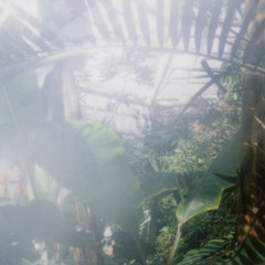 Listen to C82 衝動的の人「Peaky」XFD by cakebox in cake box