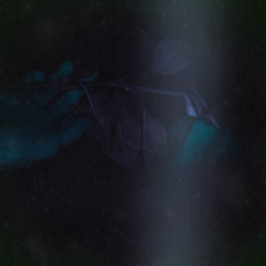 Sinerise // Anymore  || 10 Years of Bass Compilation Sub FM