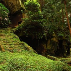 Treeleaf Temple