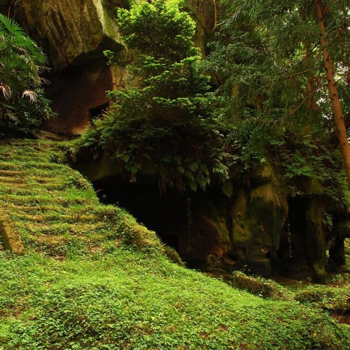 Treeleaf Temple