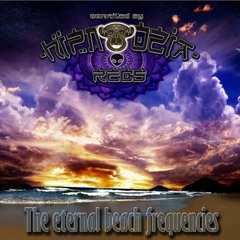 01 - Toxic Universe - Oxyd Dance Bounce (V/A The Eternal Beach Frequencies)