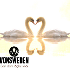 Som Dom Fåglar Vi Är