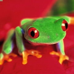 Swing frog