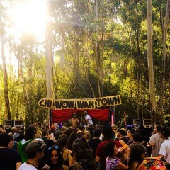 Rhys Roberts - Chiwowwah Town 2014