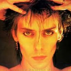 Peter Murphy