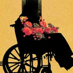 ویلچر