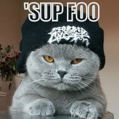 Skydroid - Bassic Bitches (Soberts Remix) [CLIP]