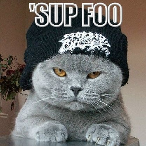 Skydroid - Bassic Bitches (Soberts Remix) [CLIP]