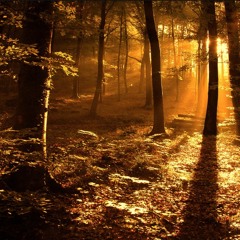 Una Tarde Cualquiera