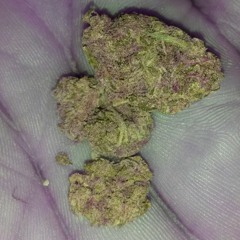 Let it go (freestyle) itsBoogs, sedy, and gray