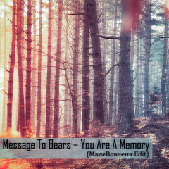 Message To Bears - You Are A Memory (#MaлеВовченя Edit)
