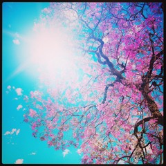 Wemo Eleven - Ribelle (Preview)