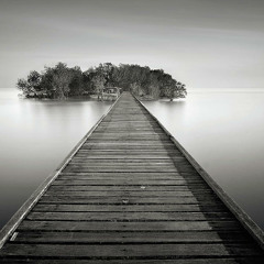 Pendulum - The Island (A+ Bootleg)